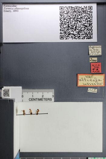 Media type: image;   Entomology 555758